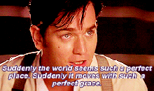 suddenly the world seems such a perfect place